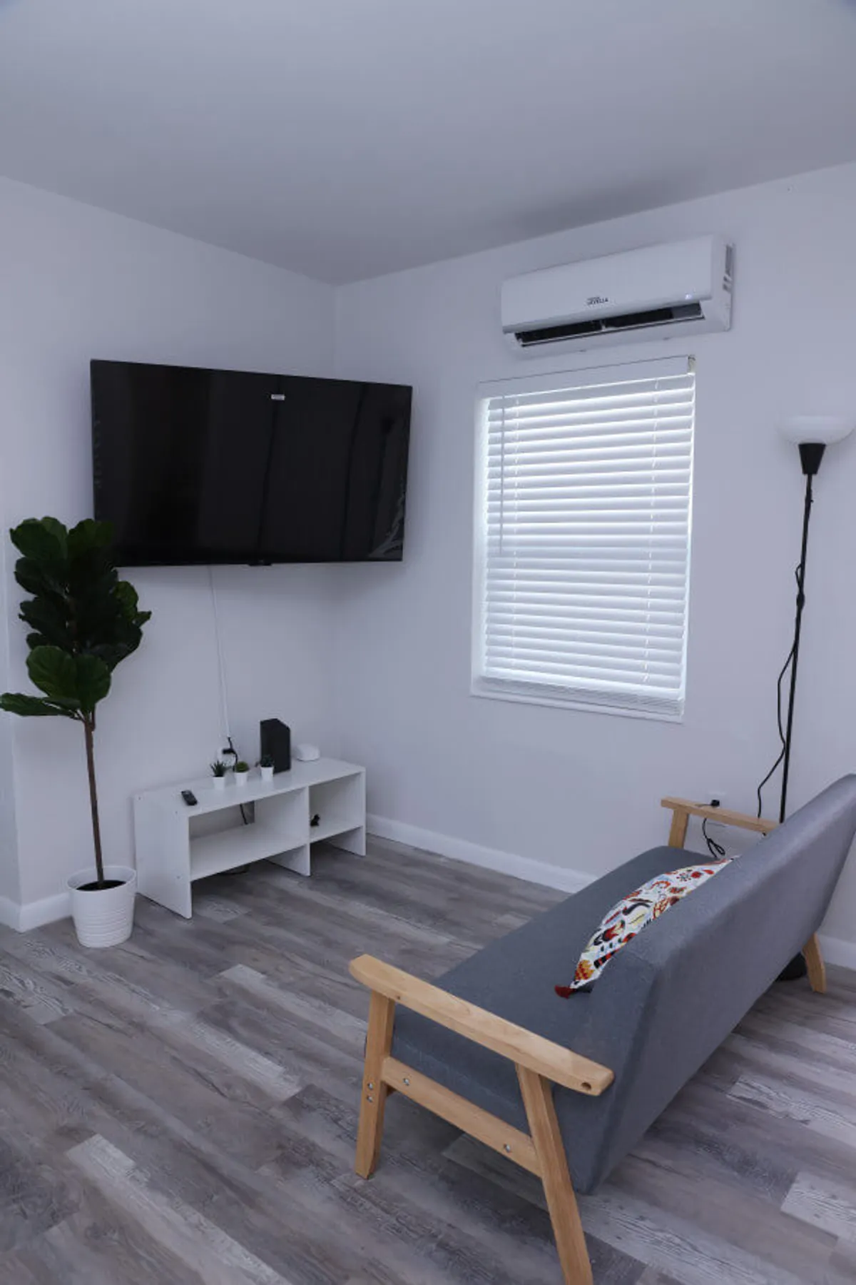 A serene corner of the studio highlighting a gray sofa with wooden arms and a colorful pillow, a wall-mounted flat-screen TV above a small white TV stand with decorative items, and an indoor potted plant in the corner. The mood is simple yet comfortable, reflecting a space to unwind or enjoy entertainment.
